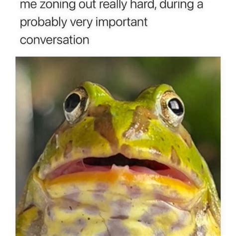 frog butt memes|27 Ribbiting Frog Memes to Leap into Your Day